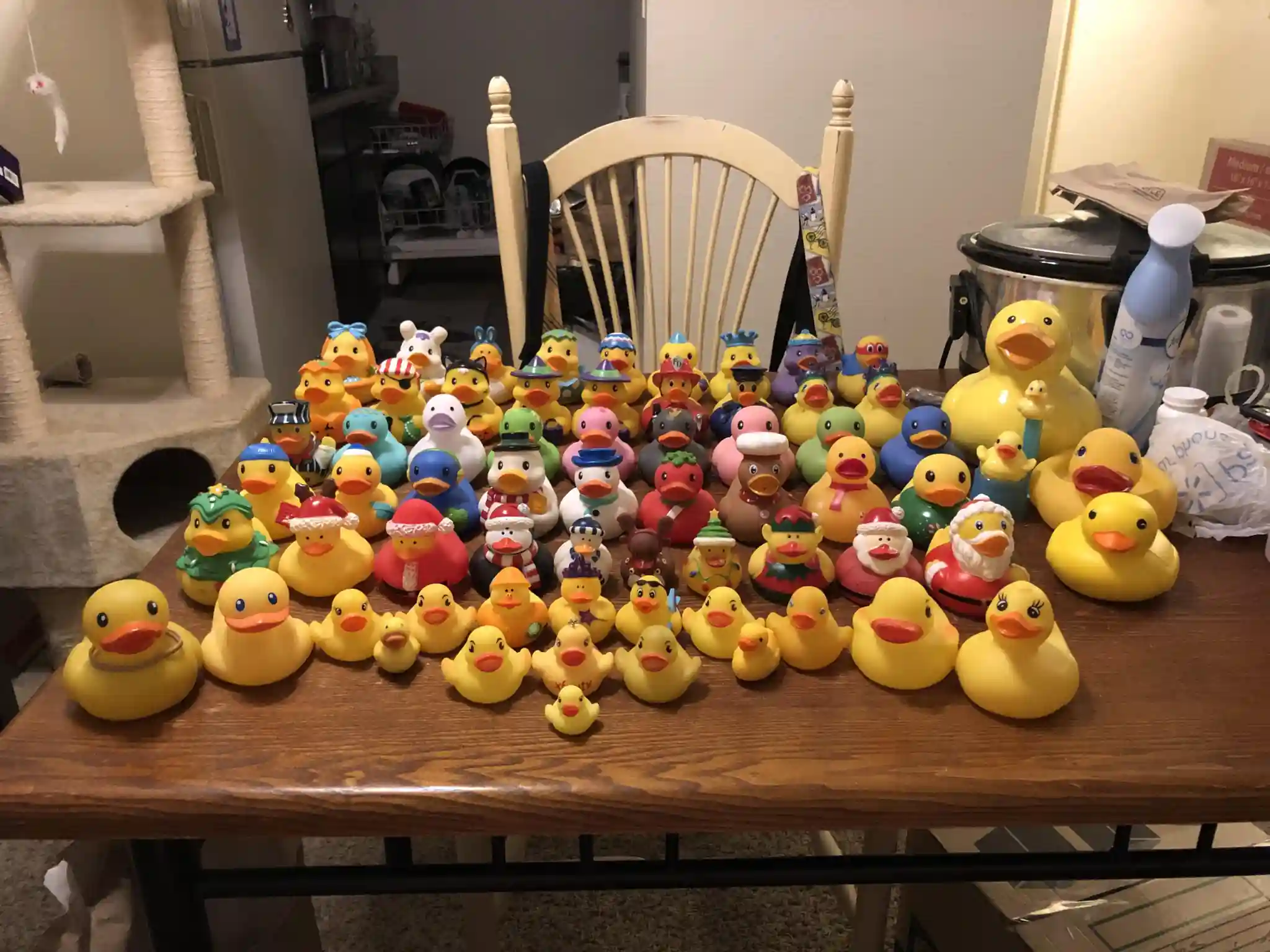 Collector displaying themed rubber ducks