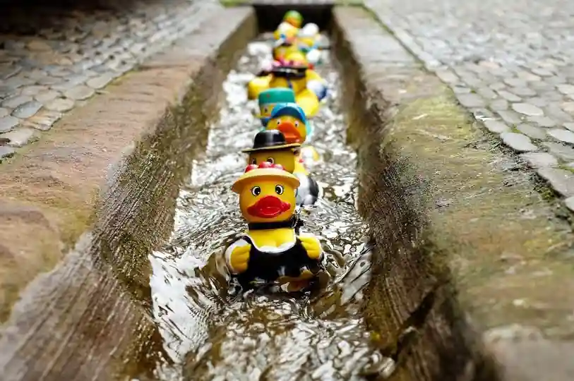 Charity rubber duck race on a river