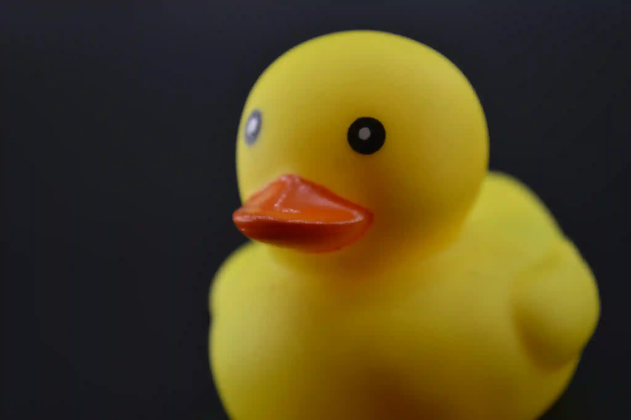 The History of the Rubber Duck – From Pond to Bathtub preview